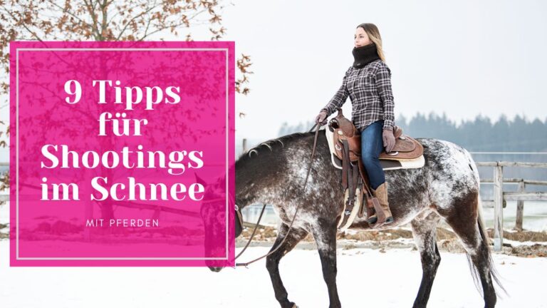 Schneebilder 9 Tipps für die Pferdefotografie