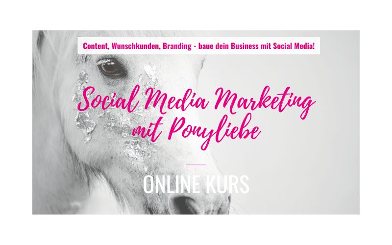 Social Media Marketing Onlinekurs für Tierfotografen