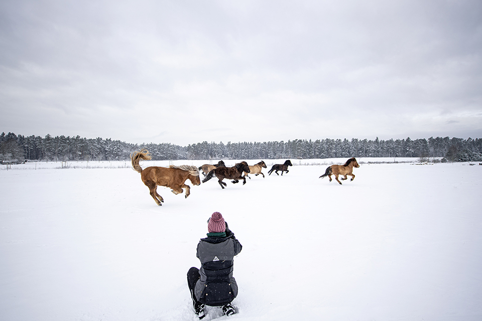 winter-fotografie-pferdefotografie-ponyliebe