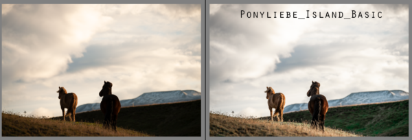 Lightroom Ponyliebe Pferdefotografie Presets Island