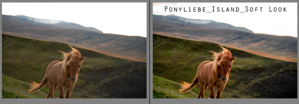 Lightroom Ponyliebe Pferdefotografie Presets Island