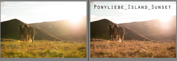 Lightroom Ponyliebe Pferdefotografie Presets Island