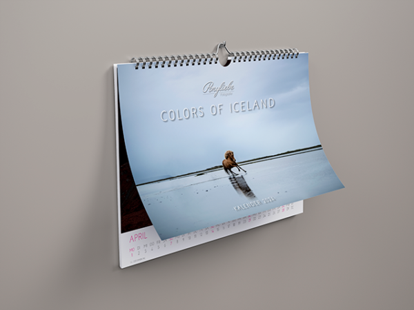 Islandpferde Kalender Bundle 2024 | Wochenplaner A5 + Wandkalender A3 + Extras – Bild 2