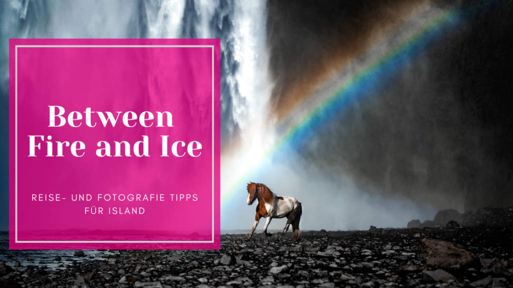 Island Reisetipps Fotografie Islandpferd Pferdefotografie Reykjavik Snaefellsness
