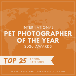 pet photographer top25 badge
