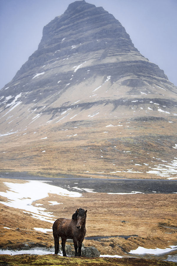 chasingwaterfalls_Kirkjufellfoss_Hochkant