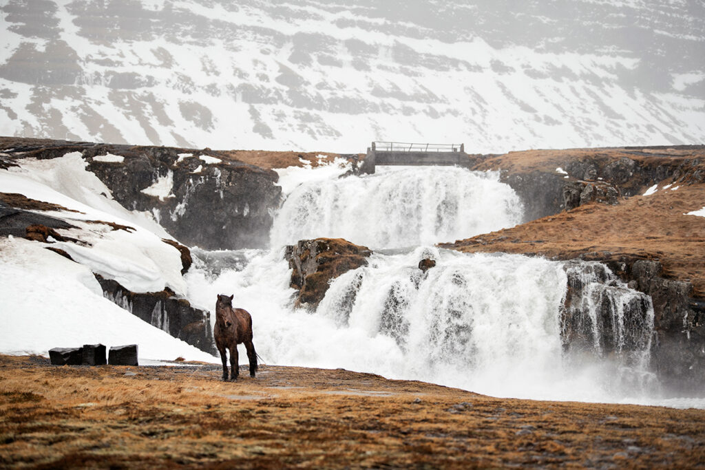chasingwaterfalls_Kirkjufellfoss_Winter