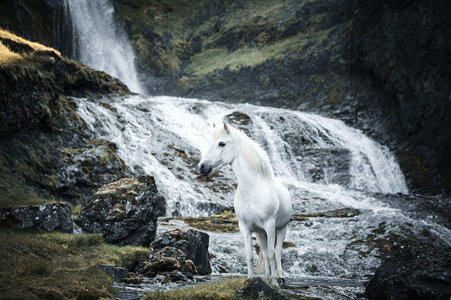 chasingwaterfalls_Kvernáfoss_Schimmel