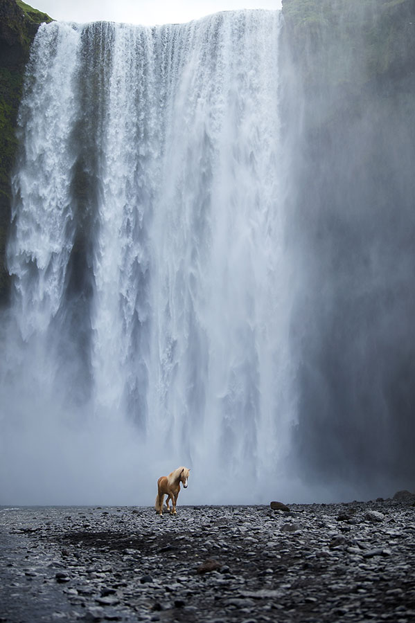 chasingwaterfalls_Skogafoss_Hochkant_Fuchs