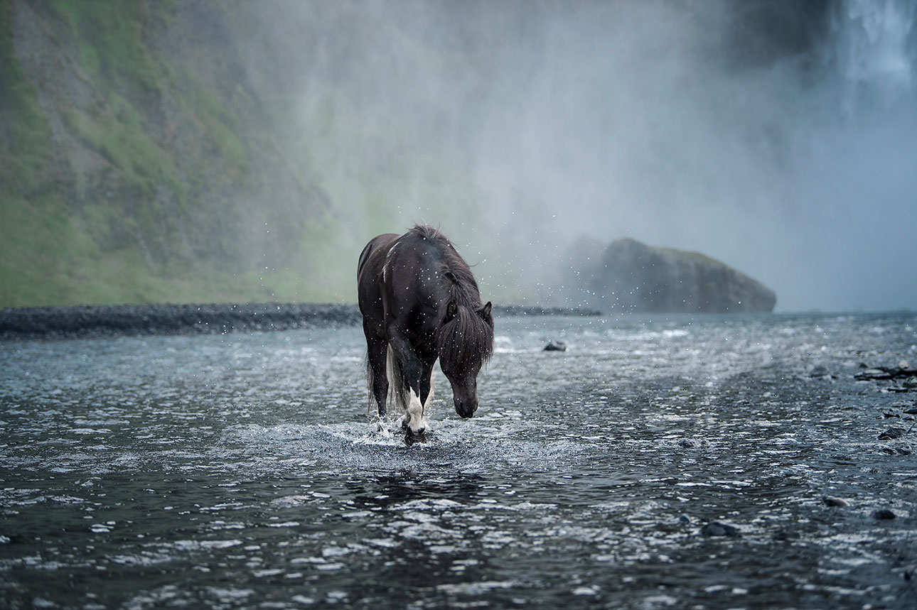 chasingwaterfalls_Skogafoss_Quer_Fluss_Rappschecke