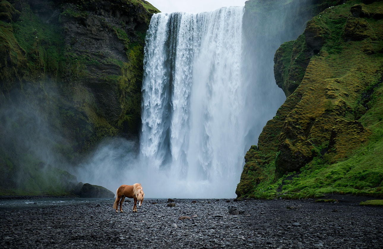 chasingwaterfalls_Skogafoss_weitwinkel