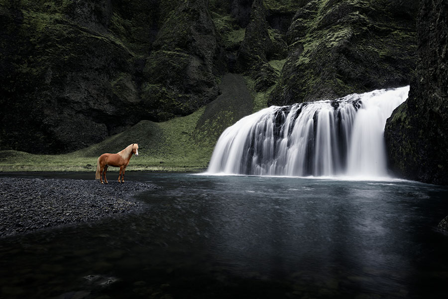 chasingwaterfalls_Stjórnarfoss_Fuchs_Isländer_fließend