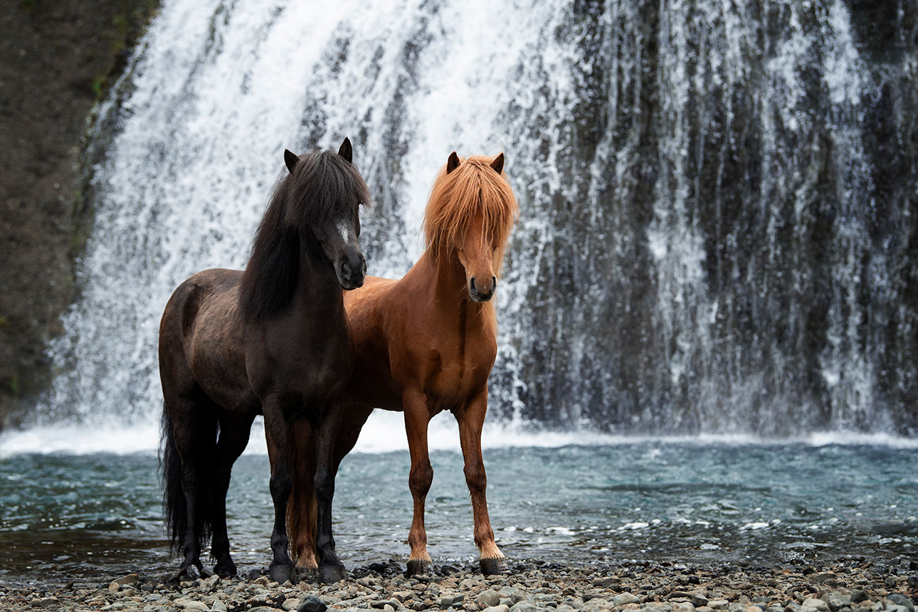 chasingwaterfalls_Stjórnarfoss_Fuchs_Rappe_Isländer