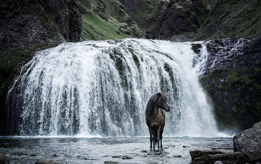 chasingwaterfalls_Stjórnarfoss_Rappe_Isländer