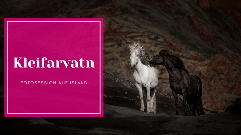 Pferdefotos aus Island - Kleifarvatn Ponyliebe Fotografie