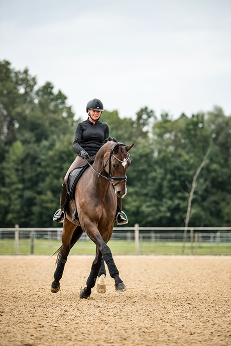 reitsport Fotografie Ponyliebe Pferdefotografie Dressur