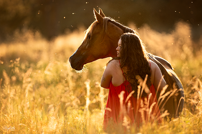 Nürnberg Bayern Pferdefotografie Sommerabend Ponyliebe Fotografie