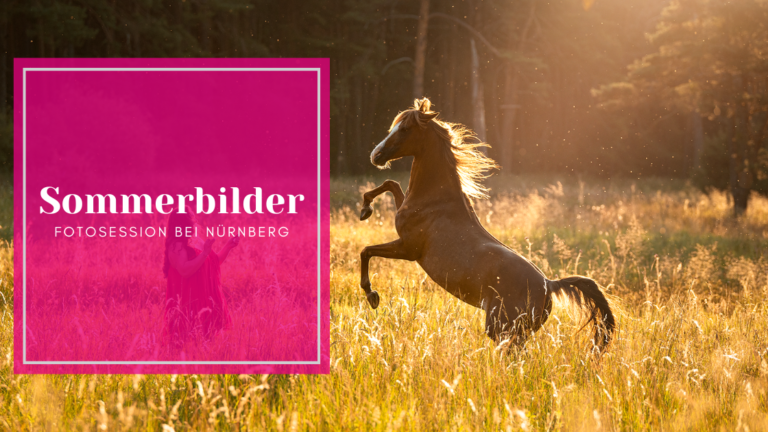 Sommerbilder mit Pferd Nürnberg Bayern Tierfotografie Pferdefotografie Ponyliebe Fotografie