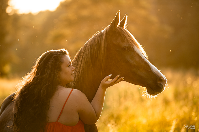 Sonnenuntergang Pferdefotografie Sommerabend Ponyliebe Fotografie