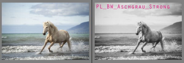 Ponyliebe Lightroom Presets Black and White aschgrau_strong