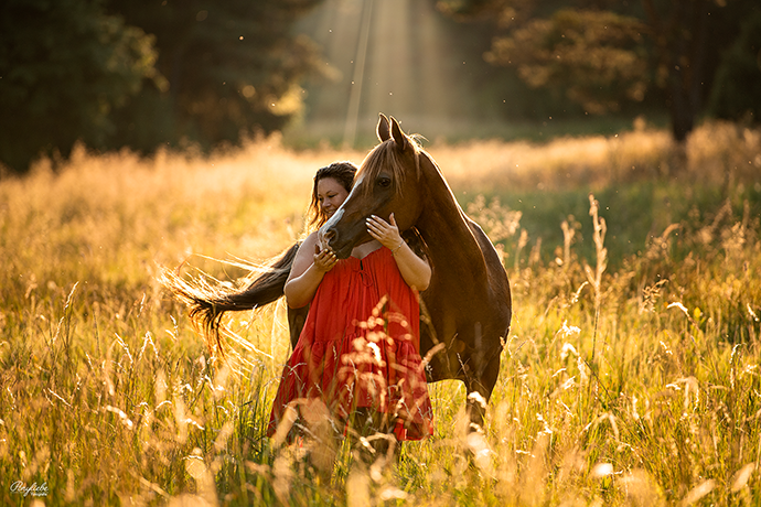 goldenes Licht Pferdefotografie Sommerabend Ponyliebe Fotografie Araber Fuchs