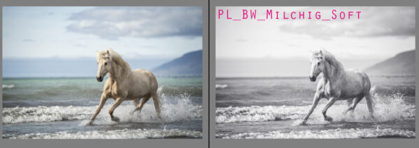 Ponyliebe Lightroom Presets Black and White milchig_soft