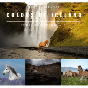 Colors of Iceland Postkarten Set Ponyliebe Fotografie